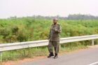 President Museveni watching the swamp lands that have been turned into rice growing gardens.