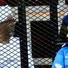 Omar Hassan al-Bashir sits inside a cage left of picture during a hearing of the verdict that convicted him of corruption charges in a court in Khartoum, Sudan, December 14, 2019