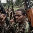 These are the Government forces that have been battling rebels for a year:<br />&quot;On Friday, the Ethiopian government said it had a responsibility to secure the country, and urged its international partners to stand with Ethiopia&#039;s democracy.&quot; This is the sort of common African war propaganda that is initiated by the corrupt leadership to buy second hand military hardware of the Second World war so that they can cause very brutal civil wars in their poor countries. The democracy this African country wants everybody to stand for is the very one African leadership are continuously messing up(rigging) in Somalia, Rwanda, Congo, Sudan, Uganda, Egypt, and so on, on this African continent. Where national democratic elections are not free and fair, and meddling in constitutional amendment to stay put in power, is the order of the day.